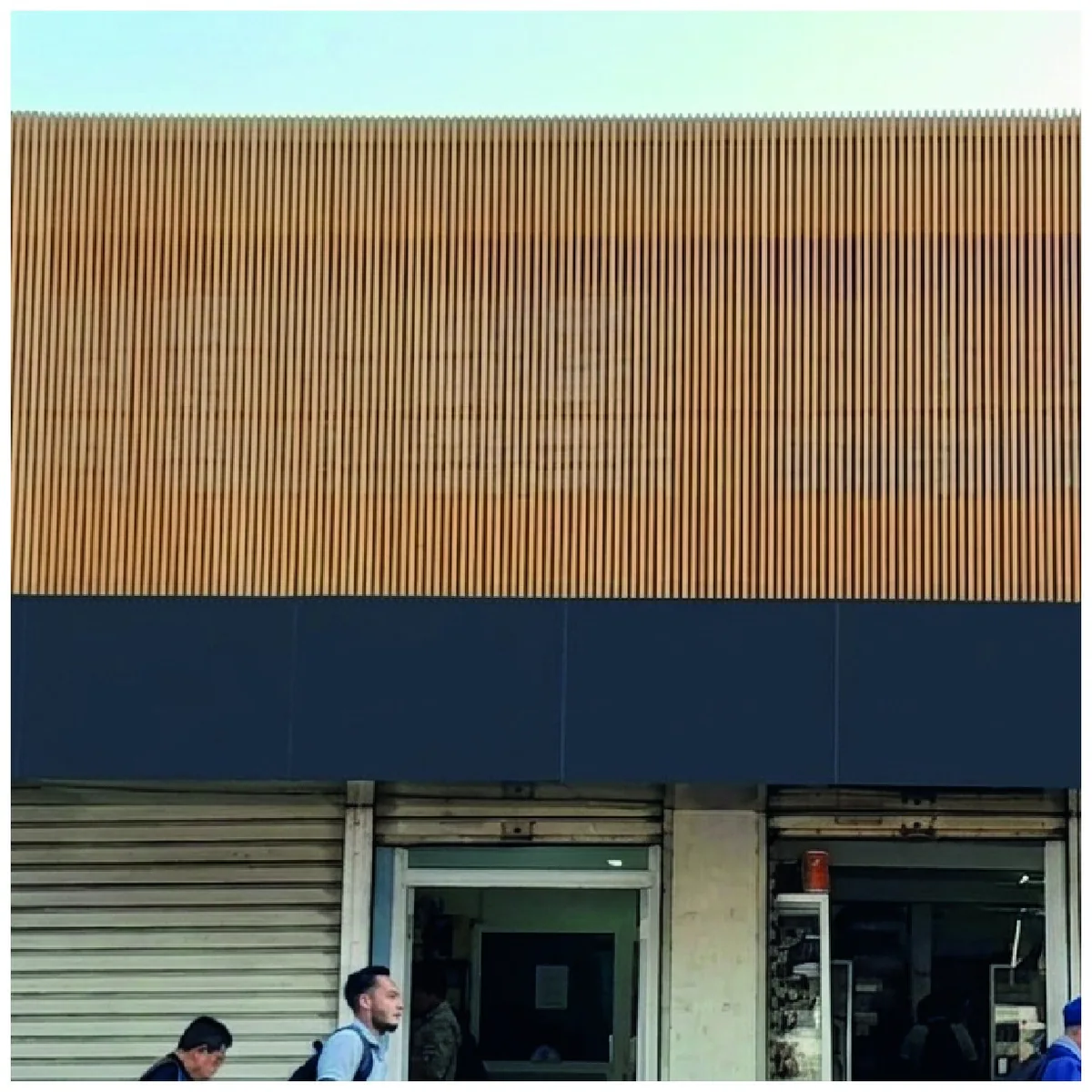 Grilla de Bambú · 2