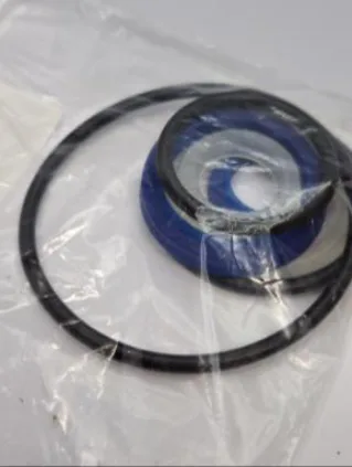 Seal kit for cylinder SIMAQ SQ10302-52 — actual part photo