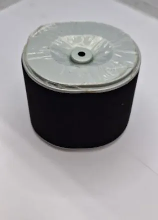 Air filter SIMAQ SQ17210-Z7E-003 — actual part photo