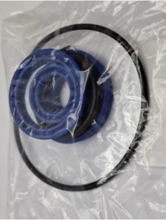 Pump seal kit SIMAQ SQP30CSEALKIT — actual part photo